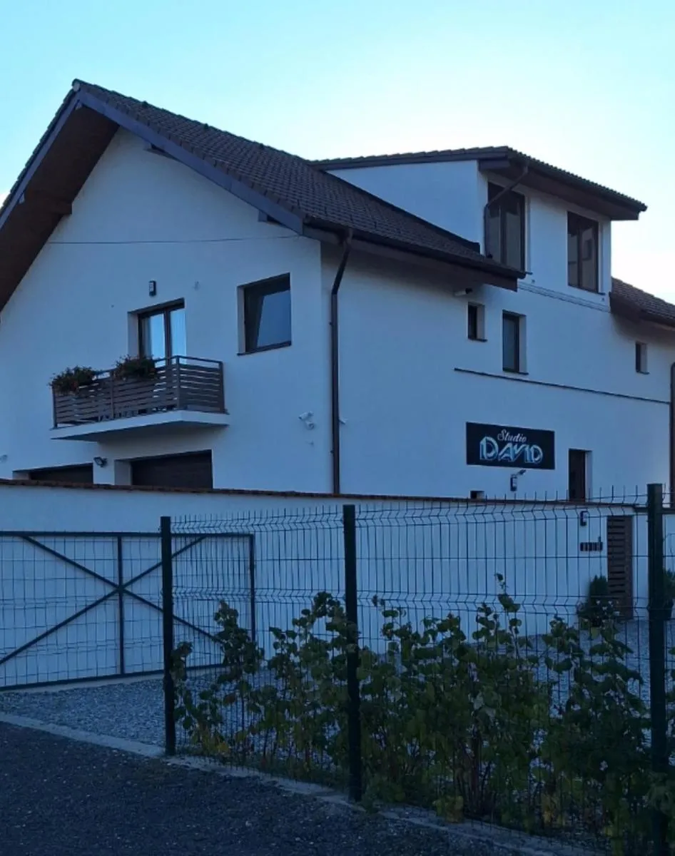 Image 4 of *Studio David*
