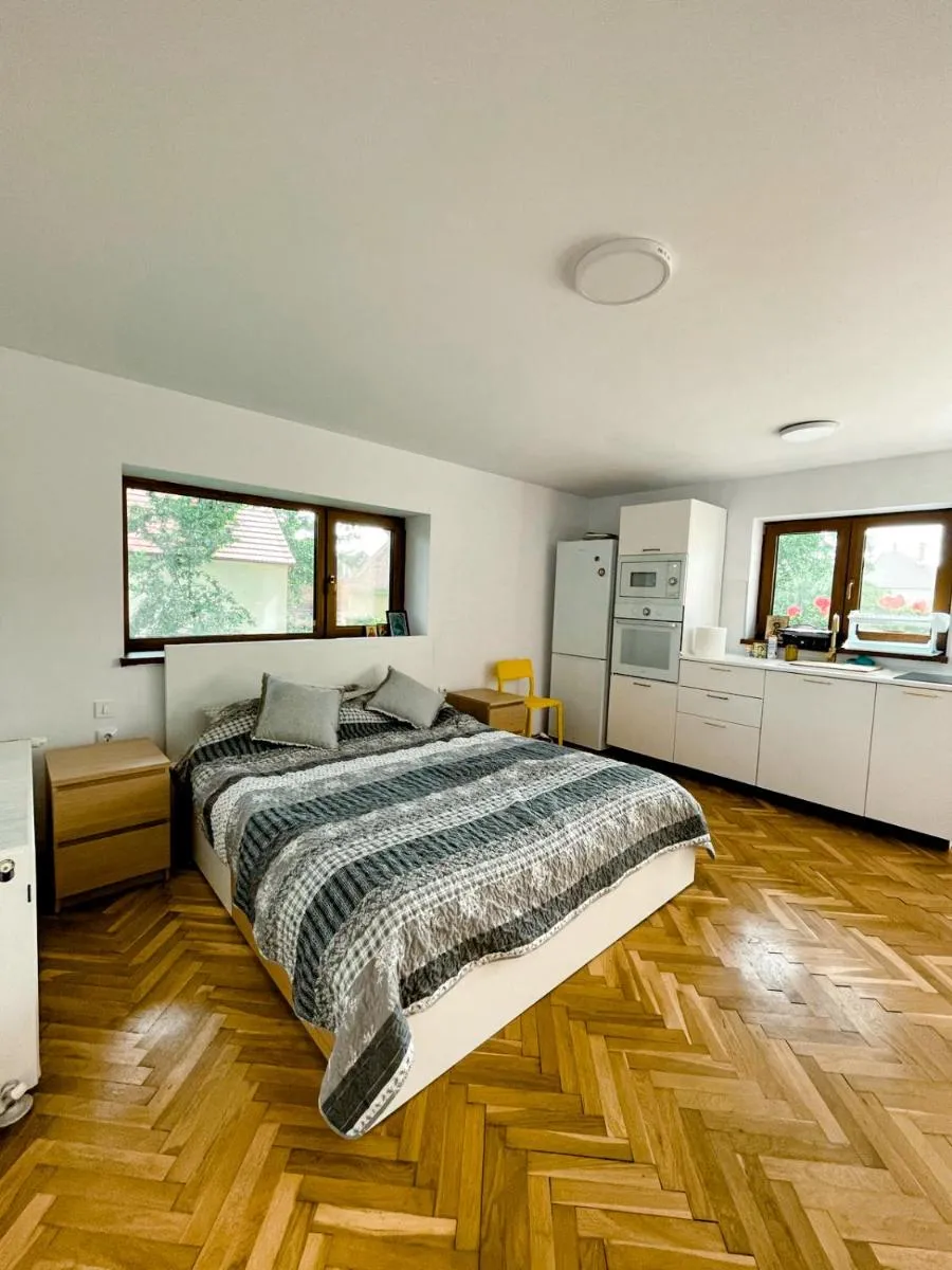 Image 4 of Studio minunat de vacanta Cristian