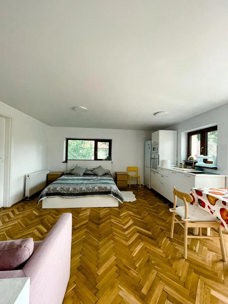 Image 5 of Studio minunat de vacanta Cristian
