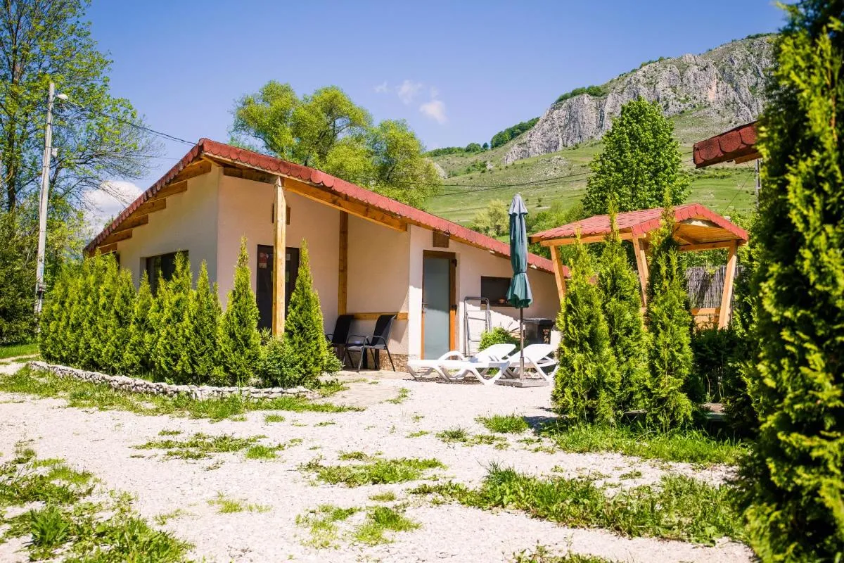 Image 6 of Studiouri Valisoara