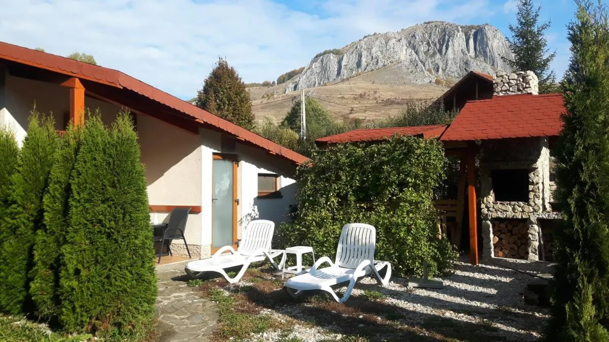 Image 7 of Studiouri Valisoara