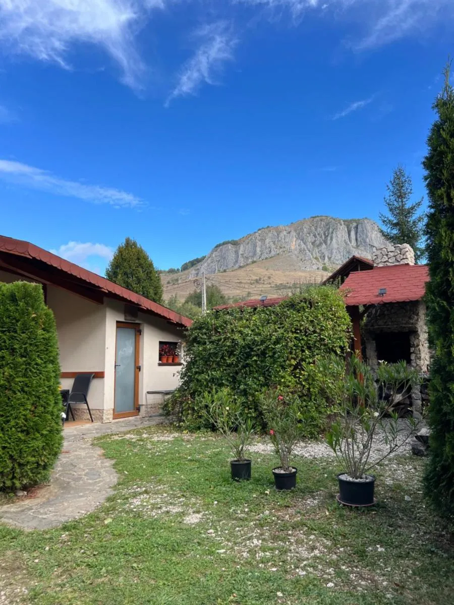 Image 2 of Studiouri Valisoara