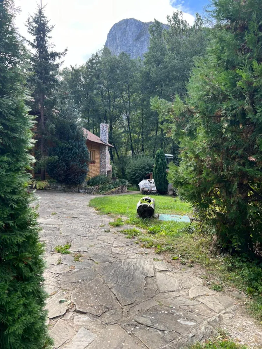 Image 4 of Studiouri Valisoara