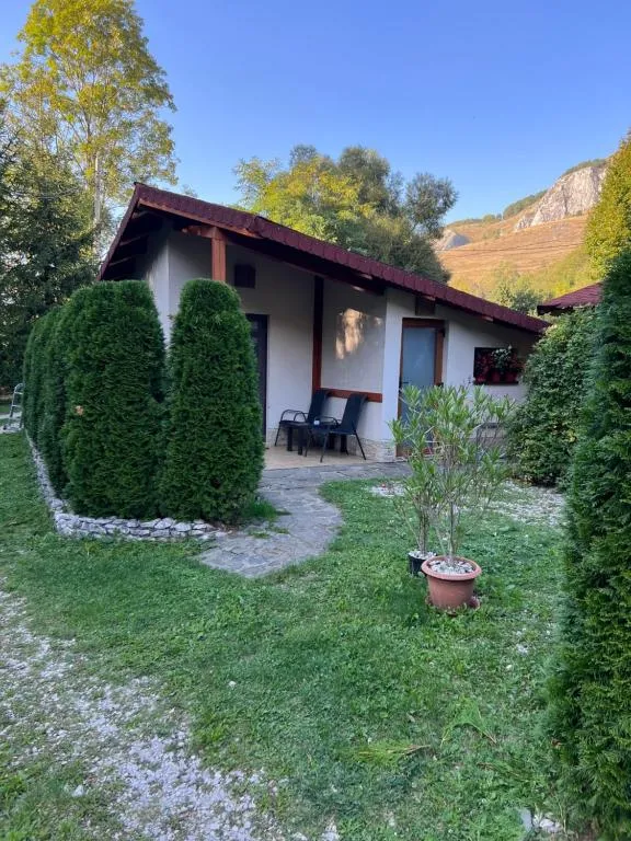 Image 1 of Studiouri Valisoara