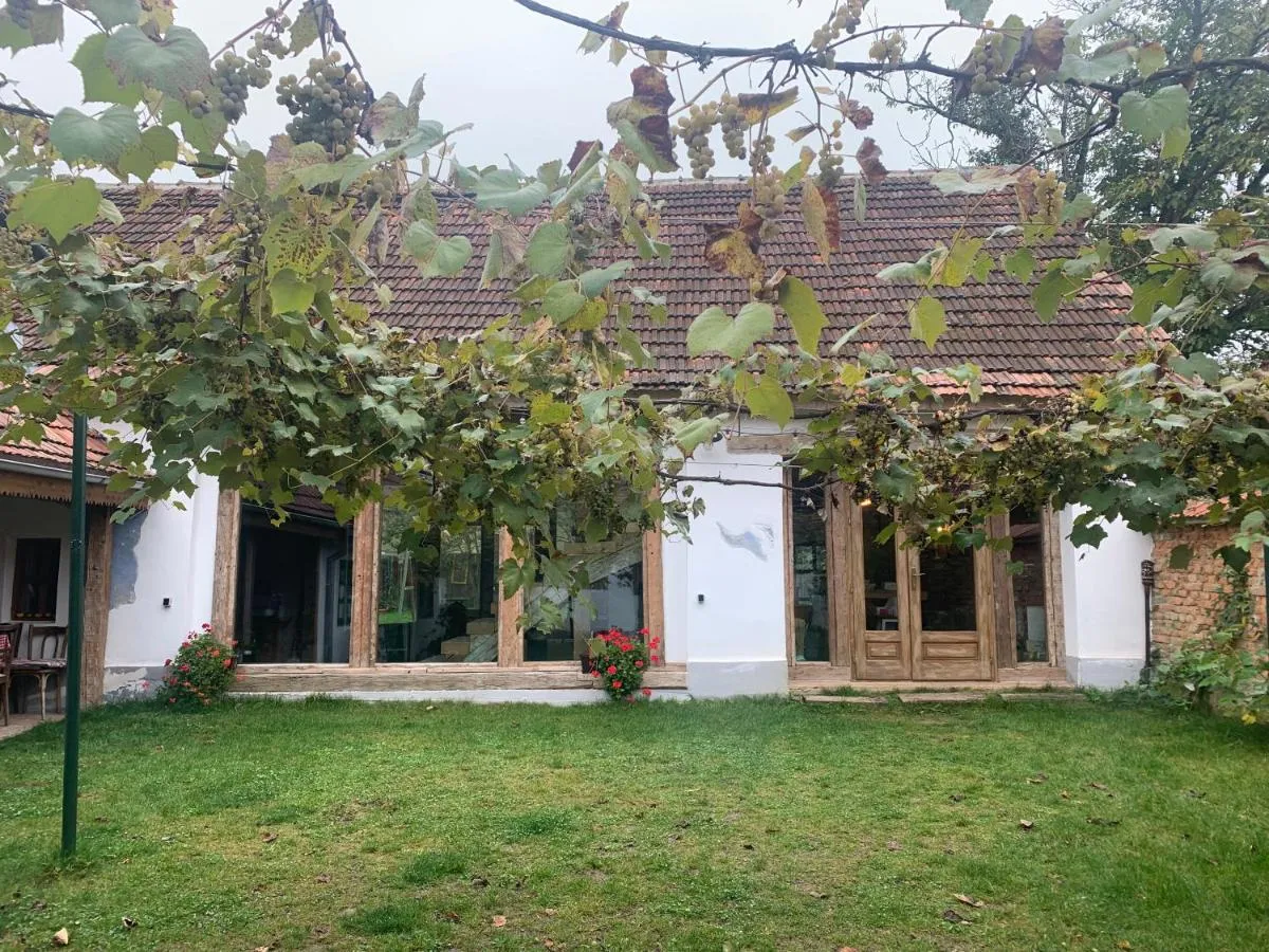 Image 4 of Sura din Joseni