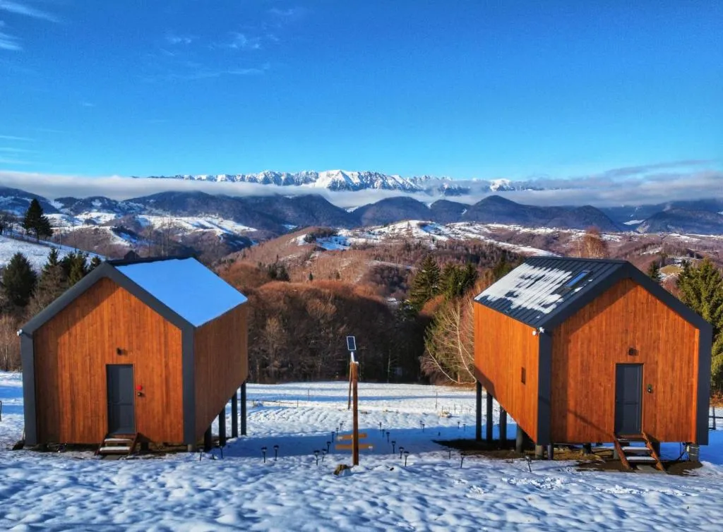 Image 1 of Suspended Tiny House