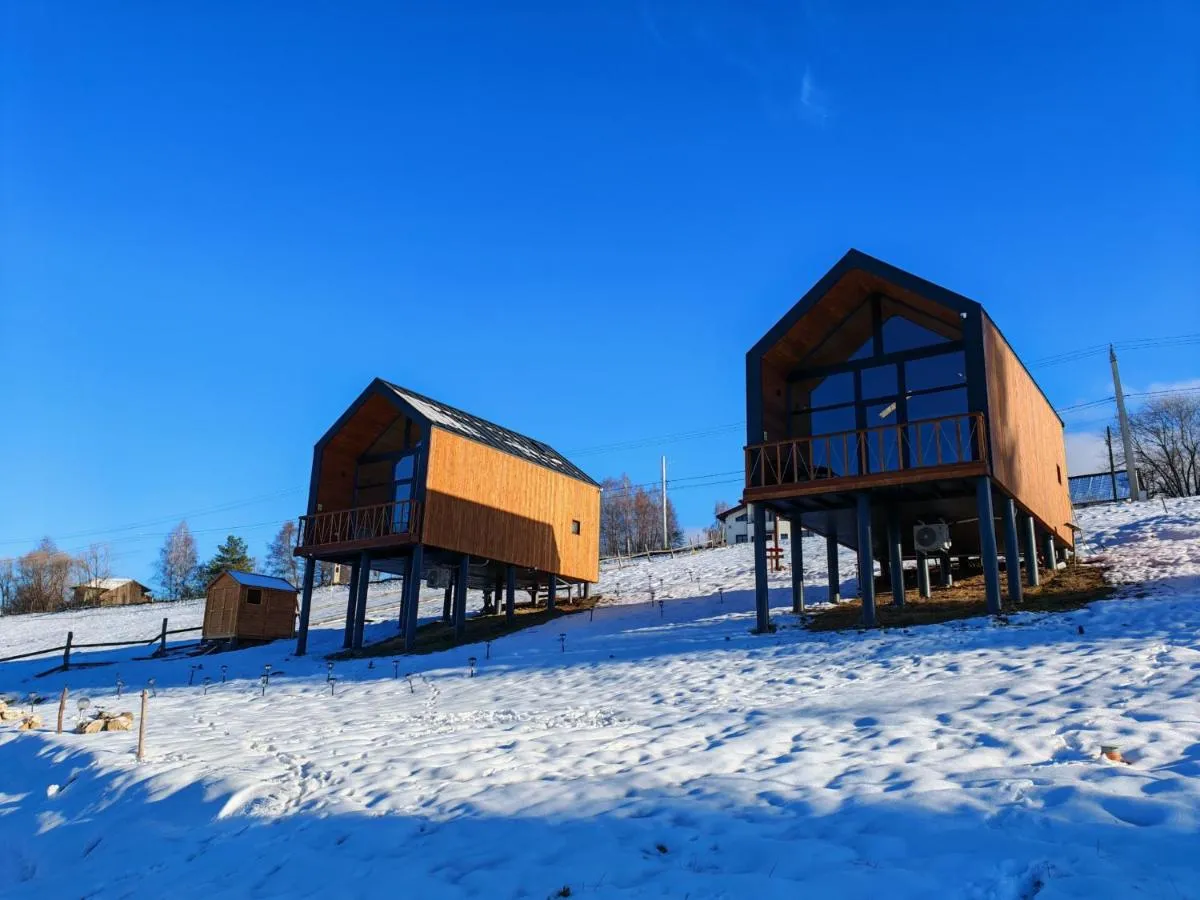 Image 5 of Suspended Tiny House