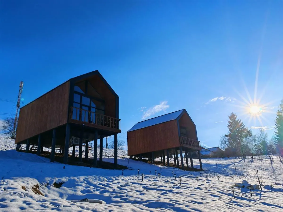 Image 4 of Suspended Tiny House