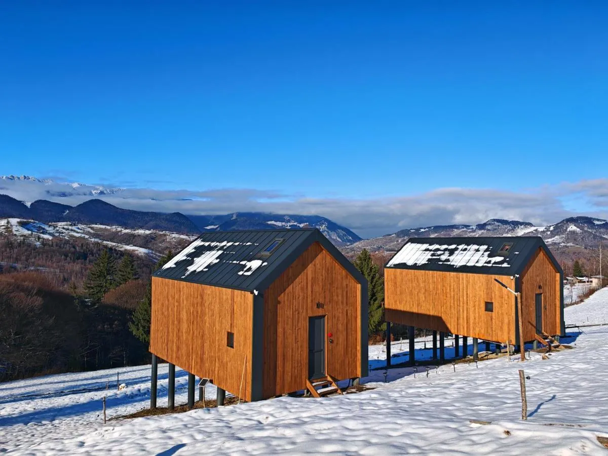 Image 2 of Suspended Tiny House