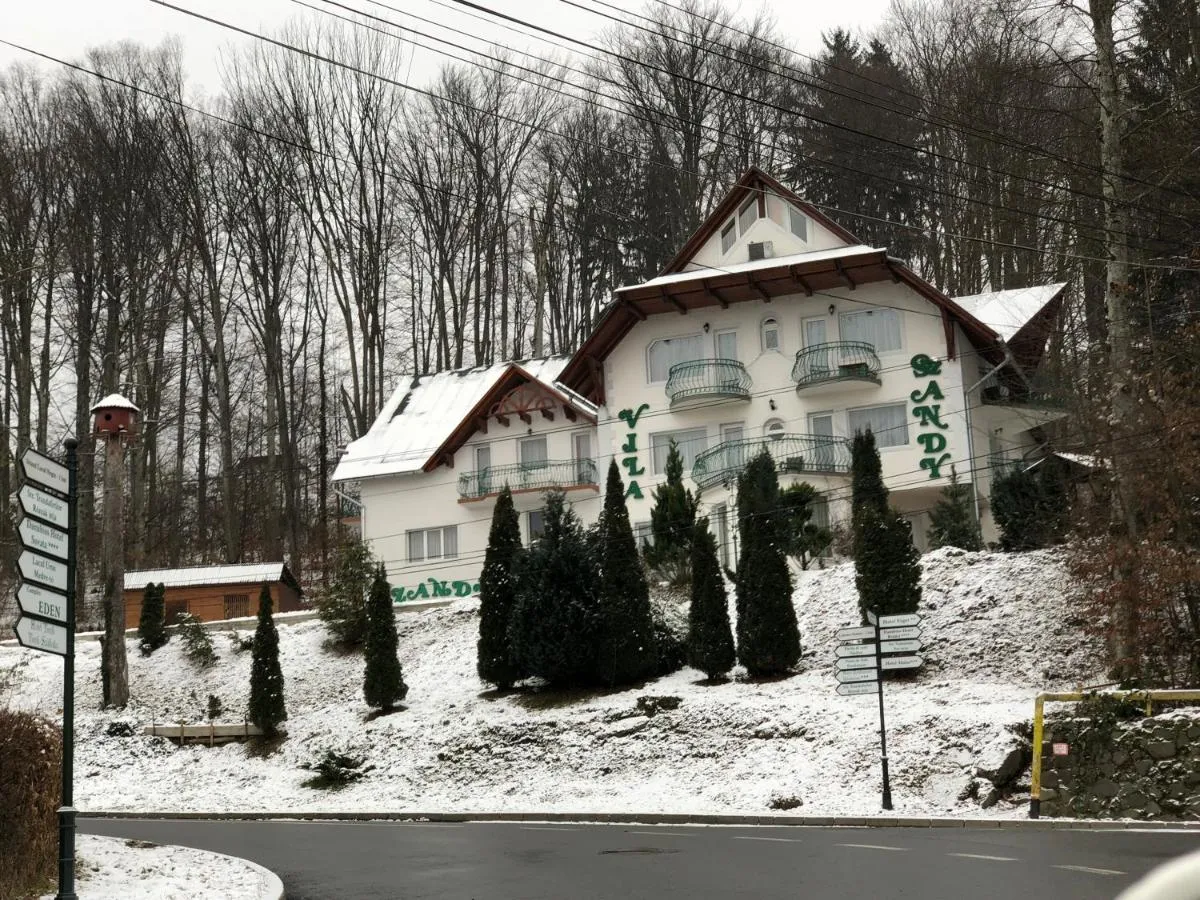 Image 6 of Szandy