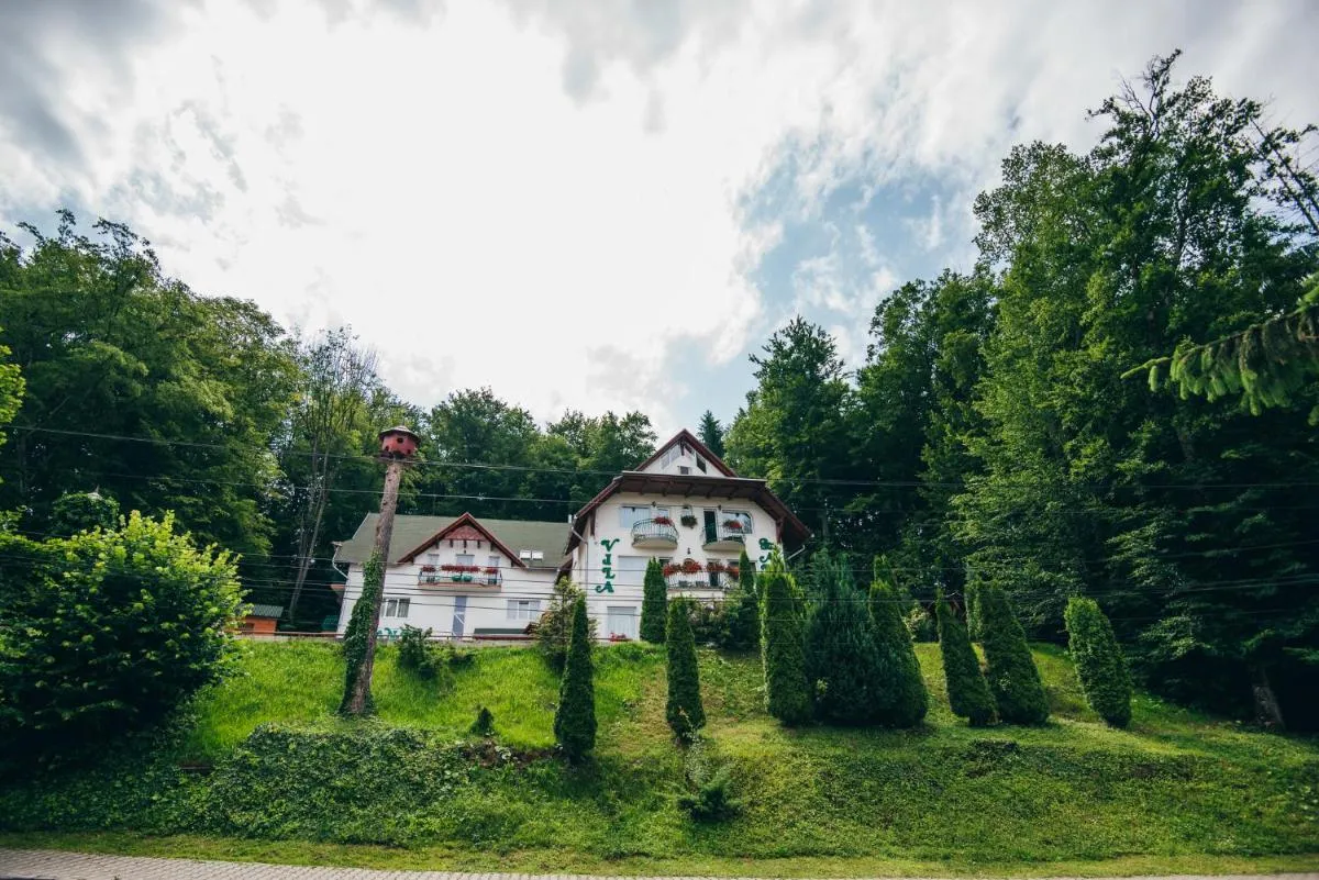 Image 3 of Szandy