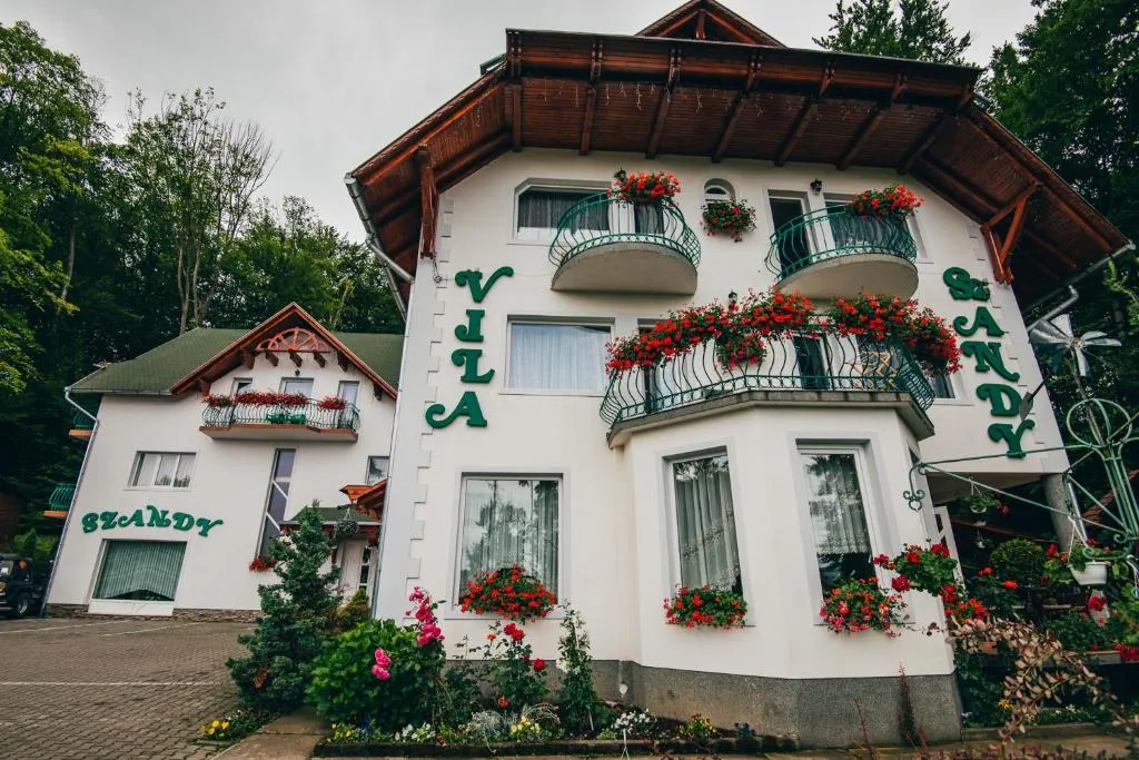 Image 1 of Szandy