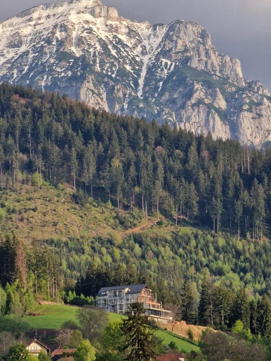 Image 4 of The Pines Bucegi Lodge