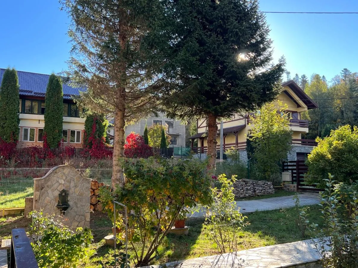 Image 6 of The View Sinaia-Busteni