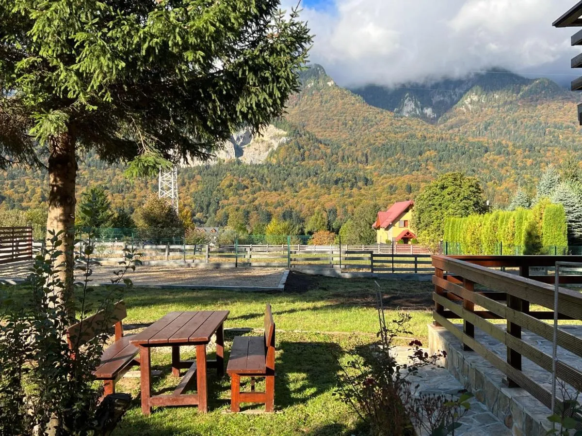 Image 3 of The View Sinaia-Busteni