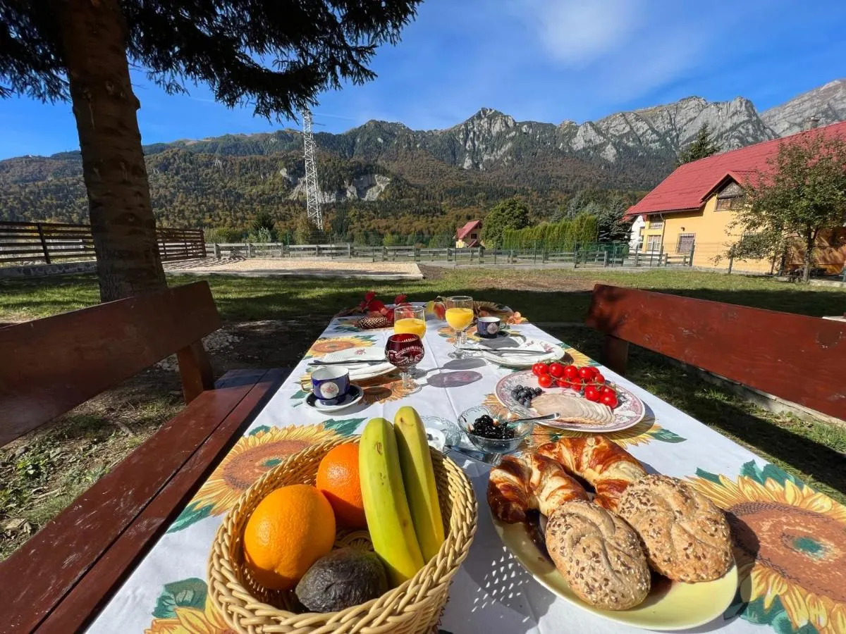 Image 4 of The View Sinaia-Busteni
