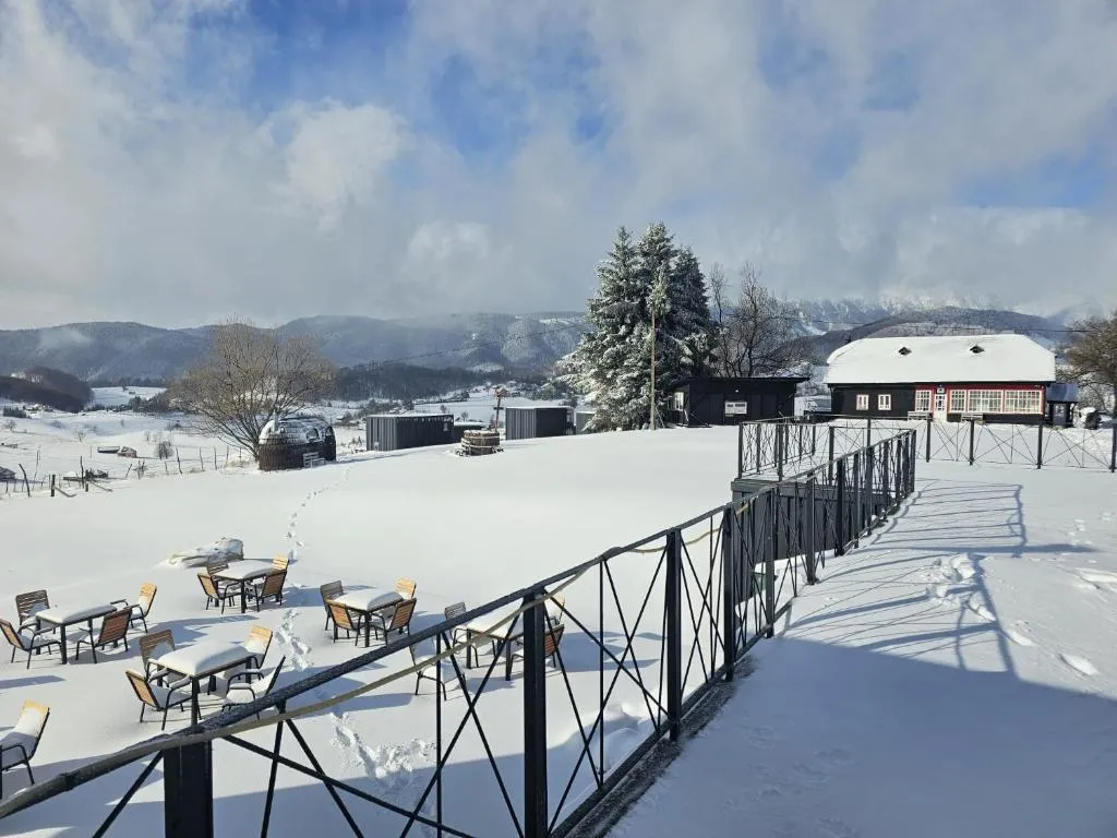 Image 1 of Ursa Mica Glamping Resort