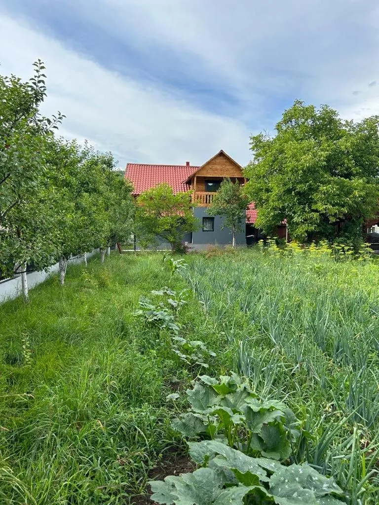 Image 4 of Vila Boema