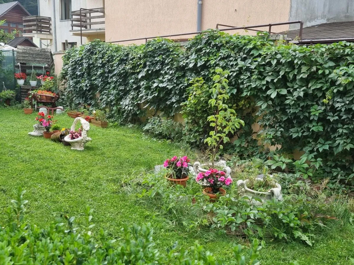 Image 7 of Vila Emily
