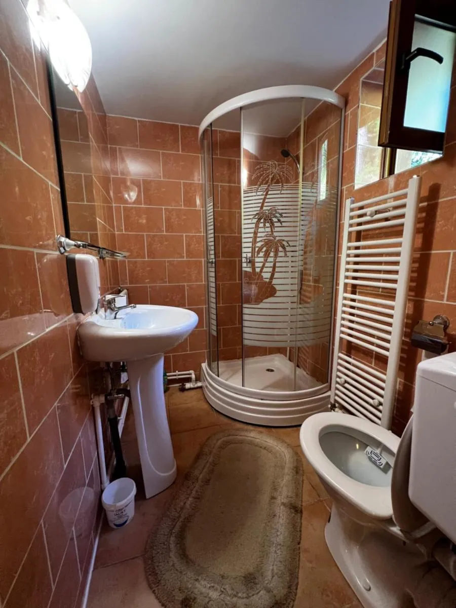 Image 6 of Vila Ioana