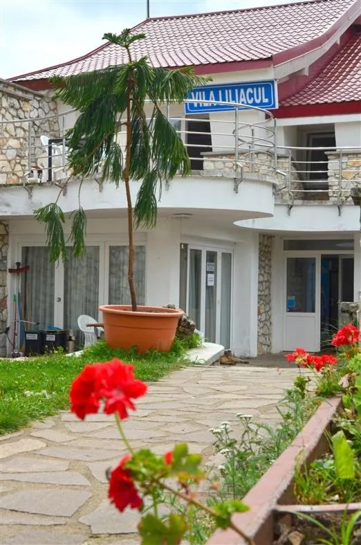 Image 5 of Vila Liliacul
