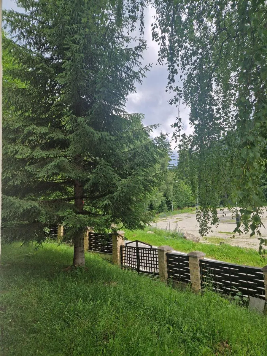 Image 6 of Vila Pinul si Mesteacanul