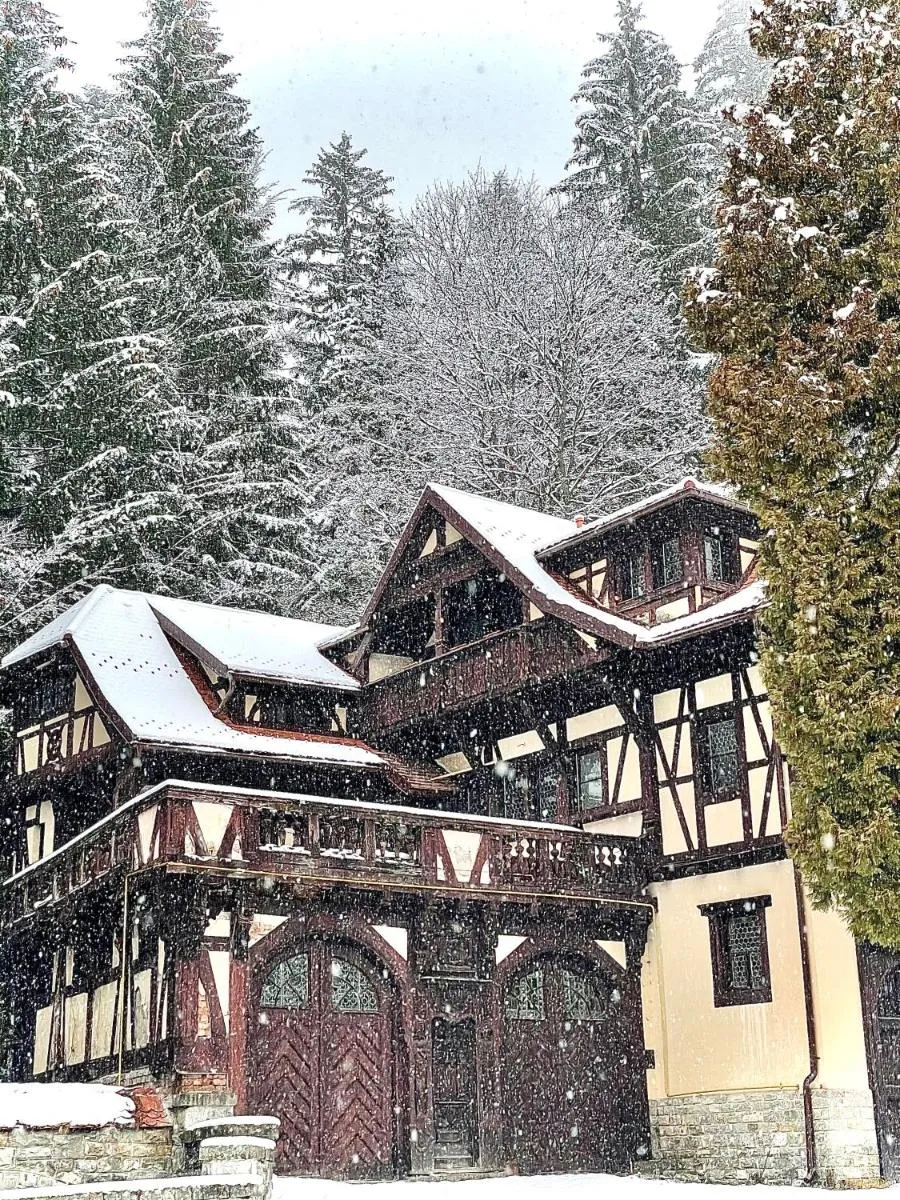 Image 5 of Vila Șipot – Casa Arhitecților