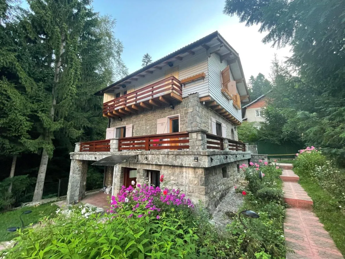 Image 2 of Vila Titulescu