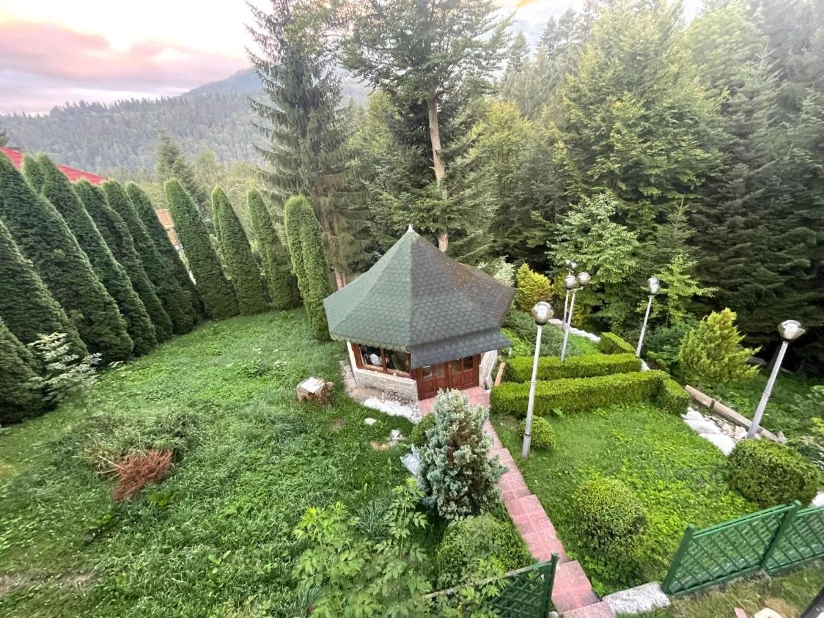 Image 6 of Vila Titulescu