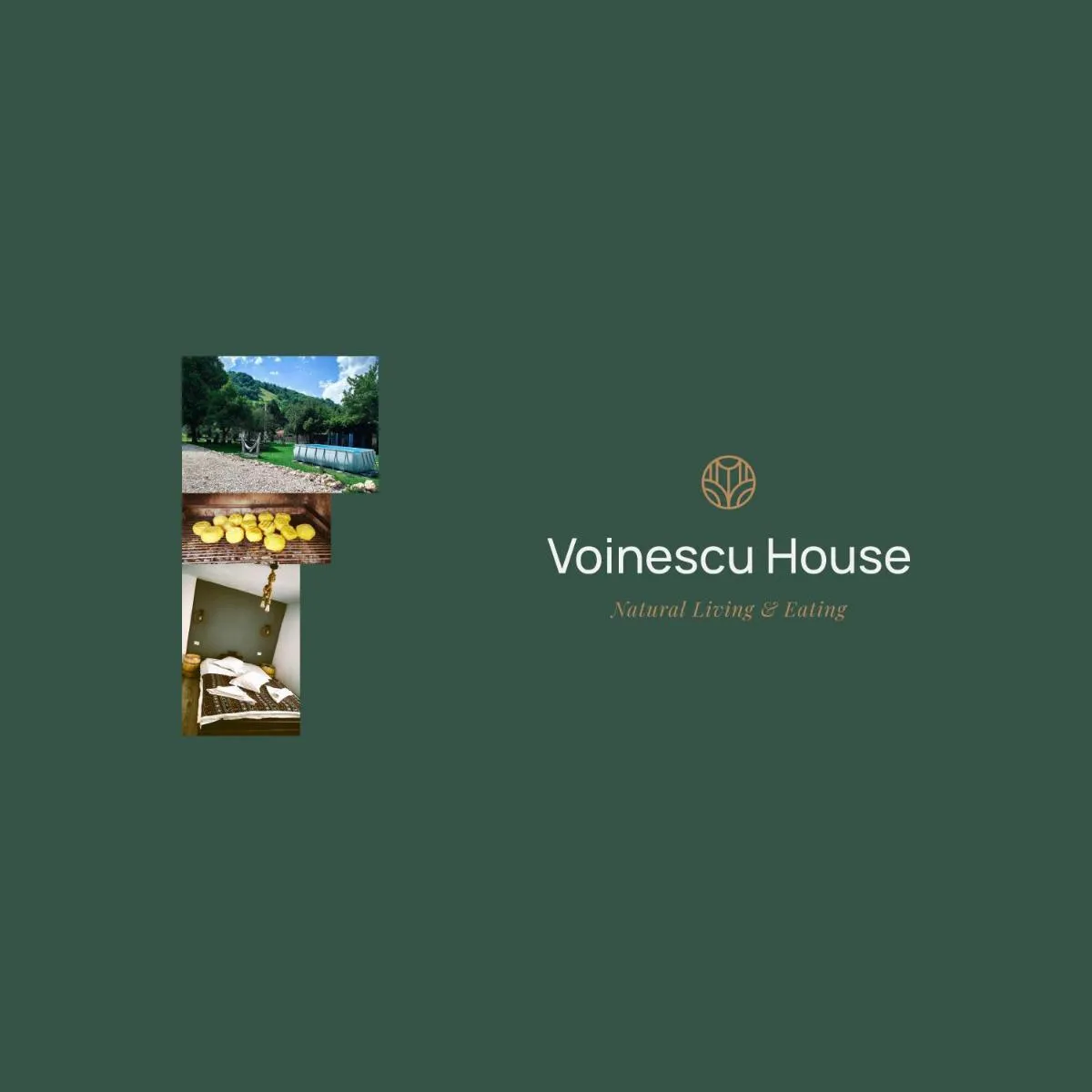 Image 5 of Voinescu House – Natural Living & Eating