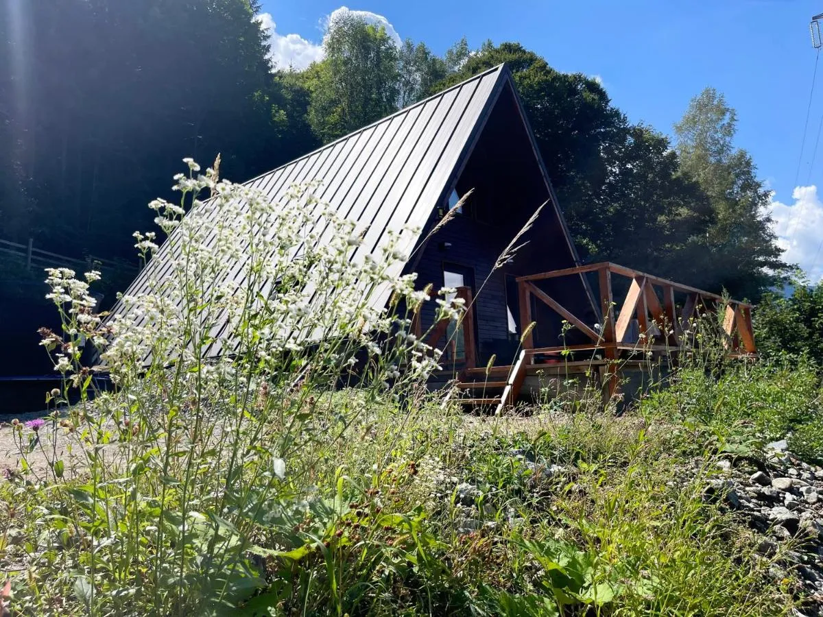 Image 3 of Wild Cabin
