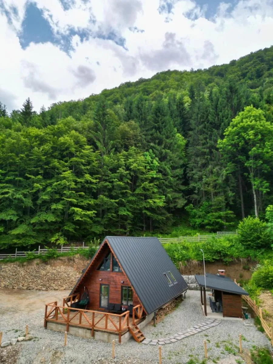 Image 4 of Wild Cabin