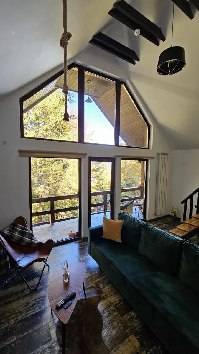 Image 3 of Wild House