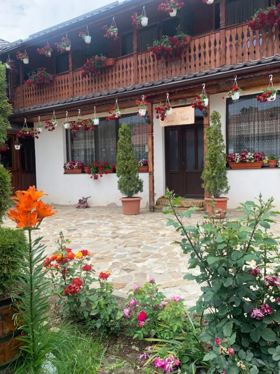 Image 2 of agropensiunea CASA NICA