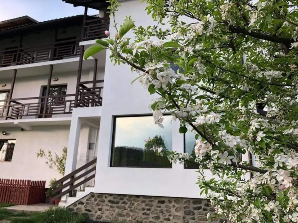 Image 2 of cazare livada-cu-meri