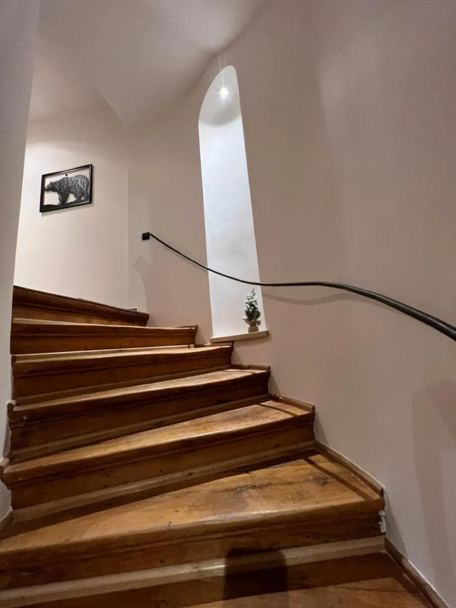 Image 7 of premium suites Postavarului