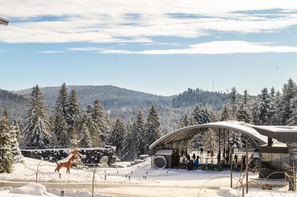 Image 2 of Apartel Skhidnytsya