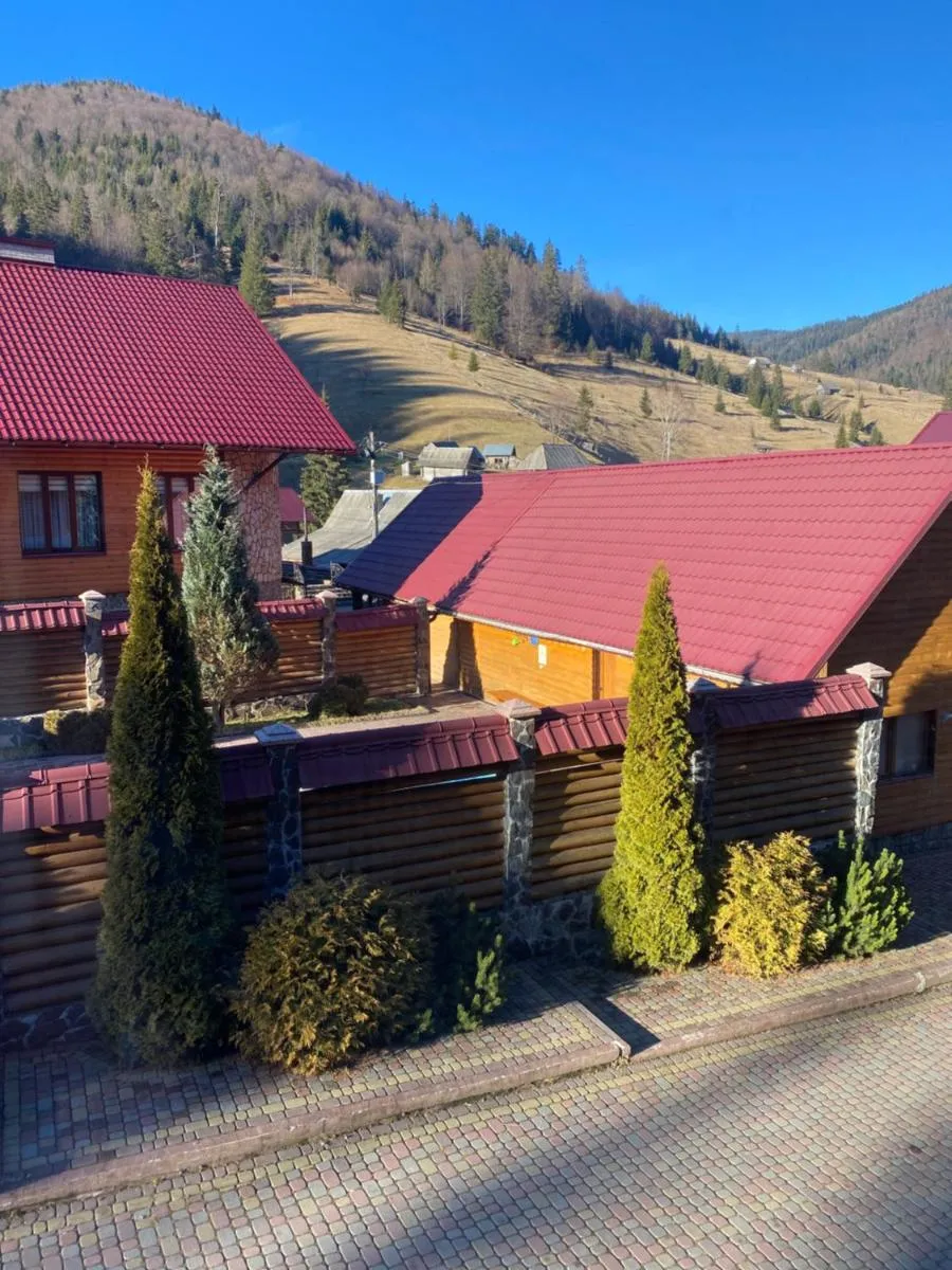 Image 2 of Арніка