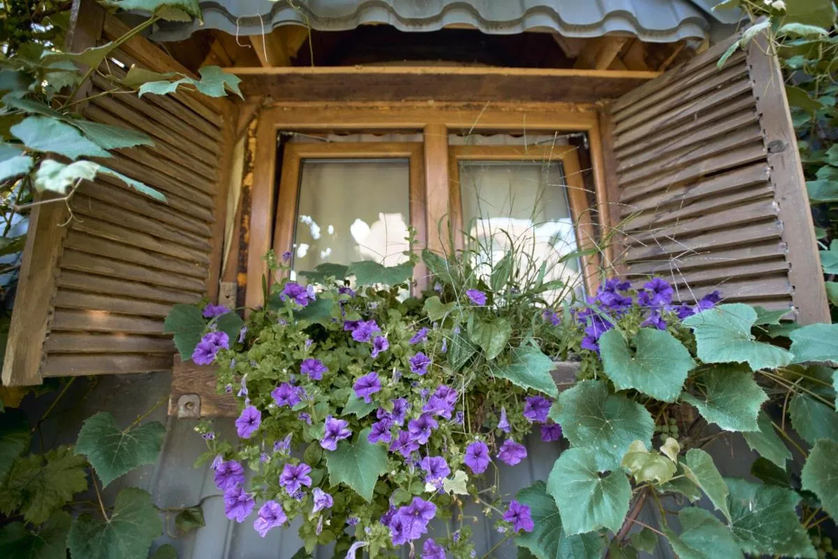 Image 2 of Baba Yagas house