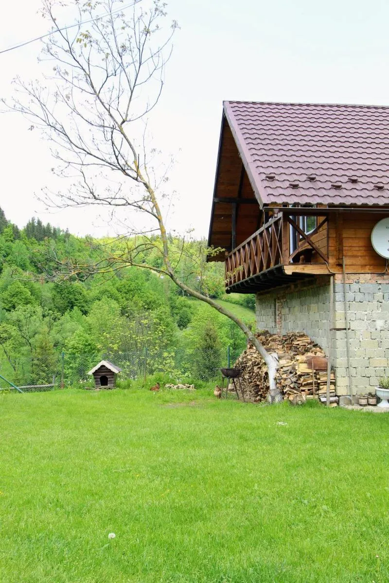 Image 5 of Багрівчанка