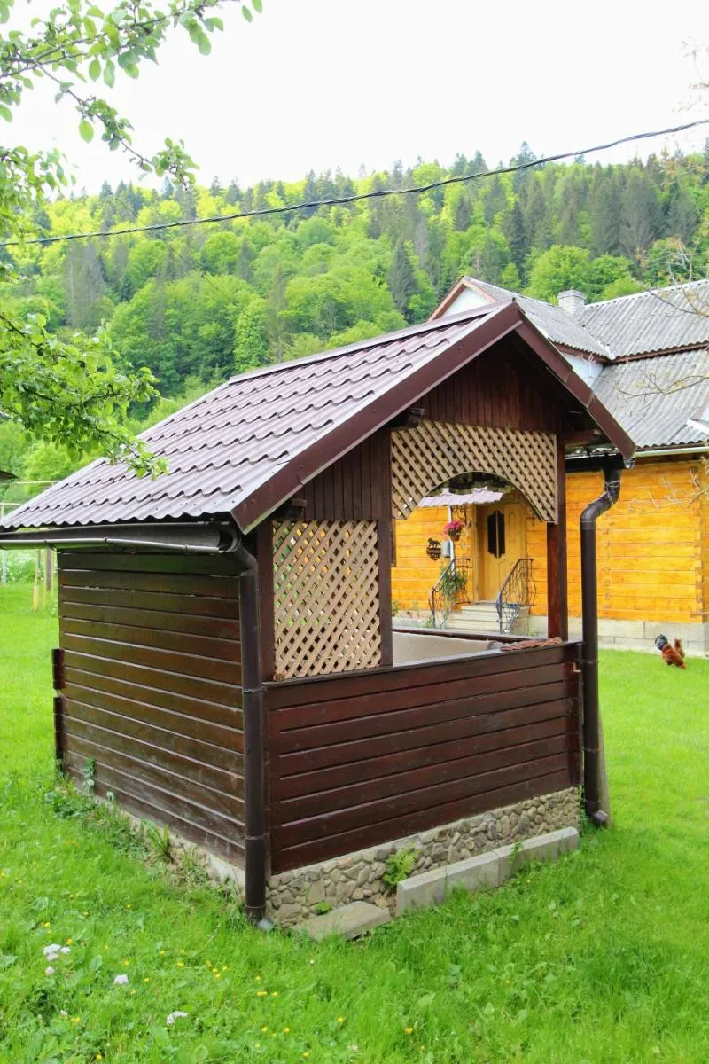 Image 4 of Багрівчанка