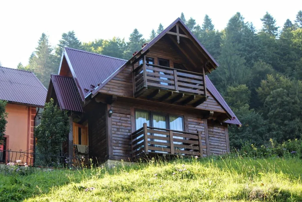 Image 1 of Cottage “Karpatske Shale”