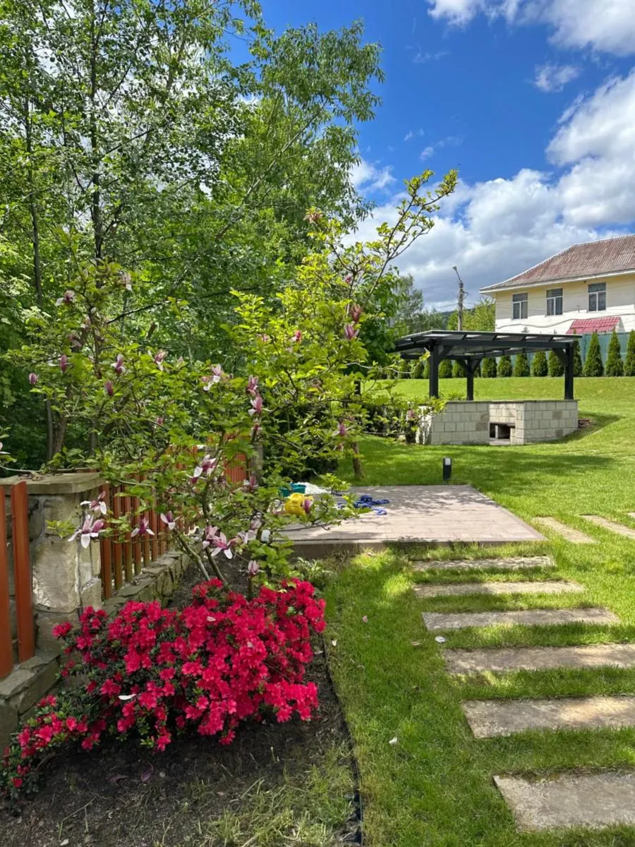 Image 3 of Cottage Zelman
