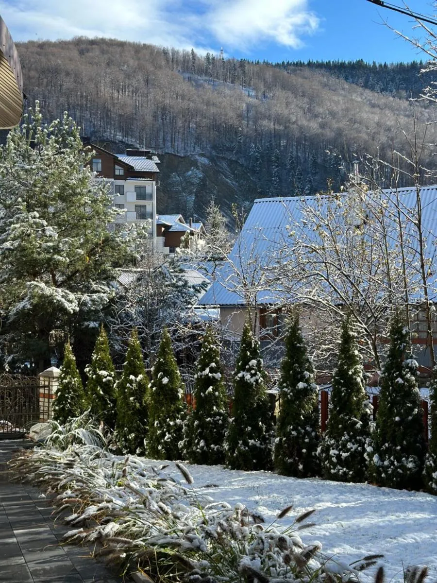 Image 2 of Cottage Zelman