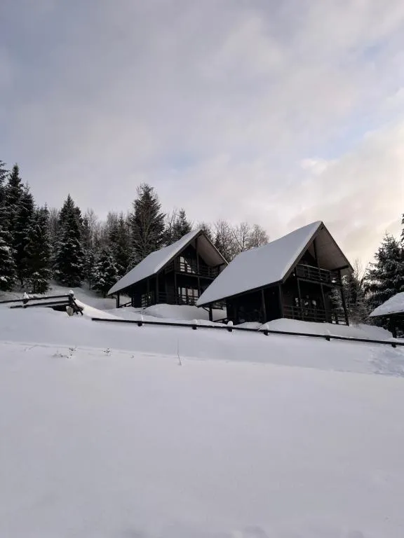 Image 1 of Cottages Shepit Lisu