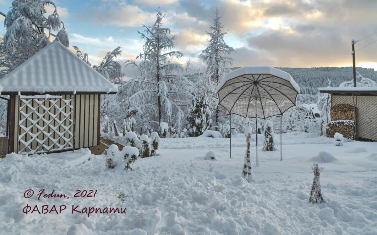 Image 4 of FAVAR Carpathians