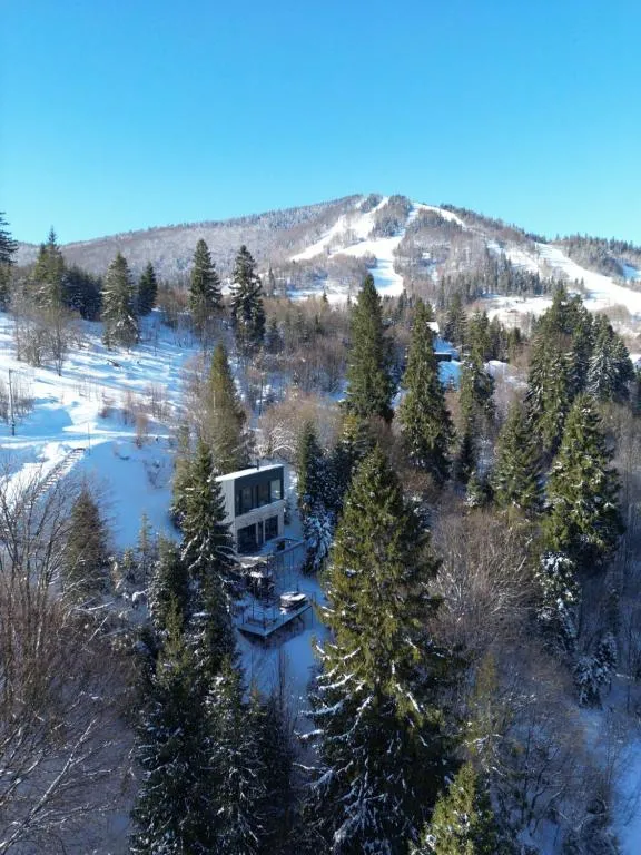 Image 1 of Forest Hub