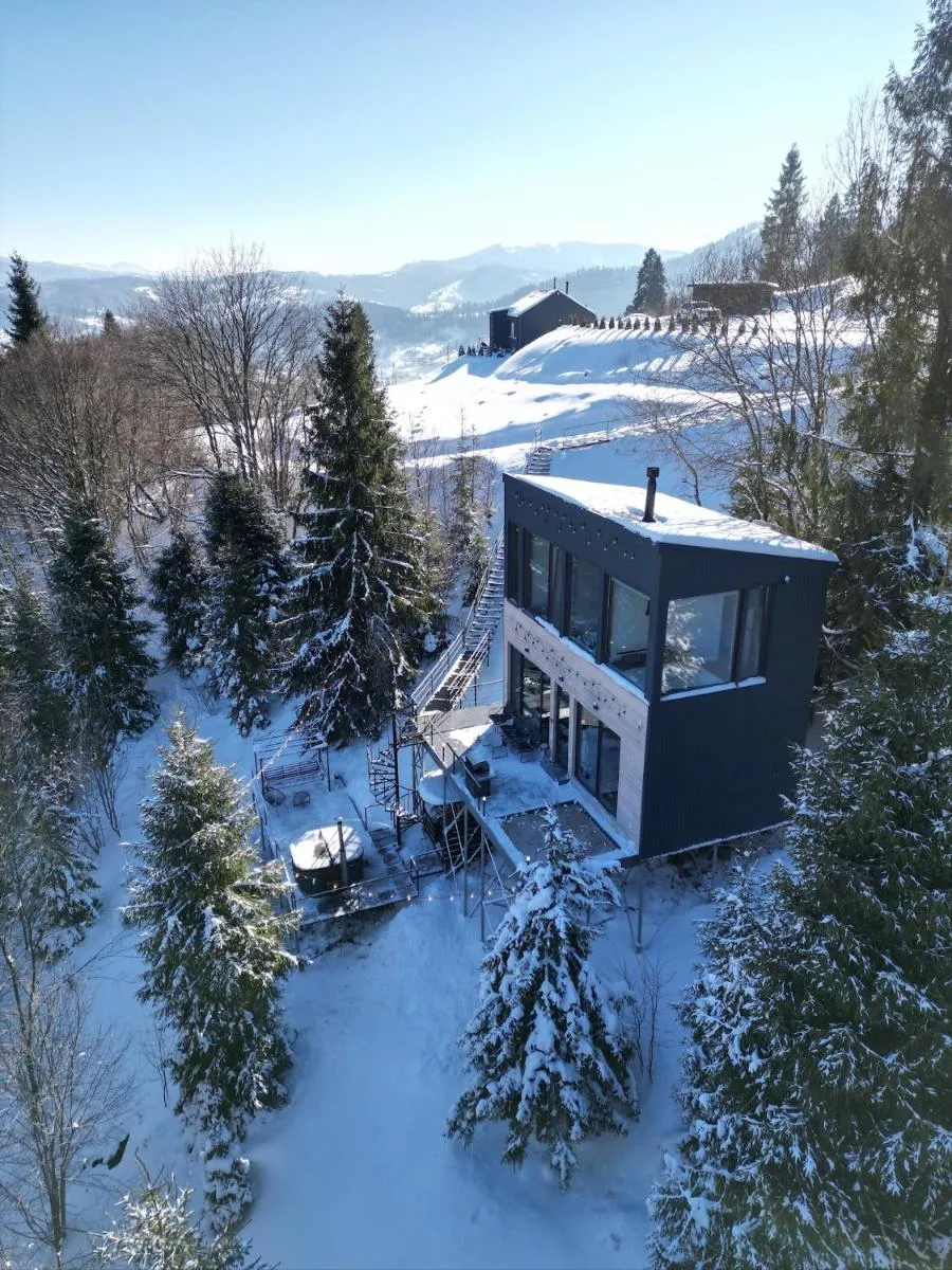 Image 5 of Forest Hub