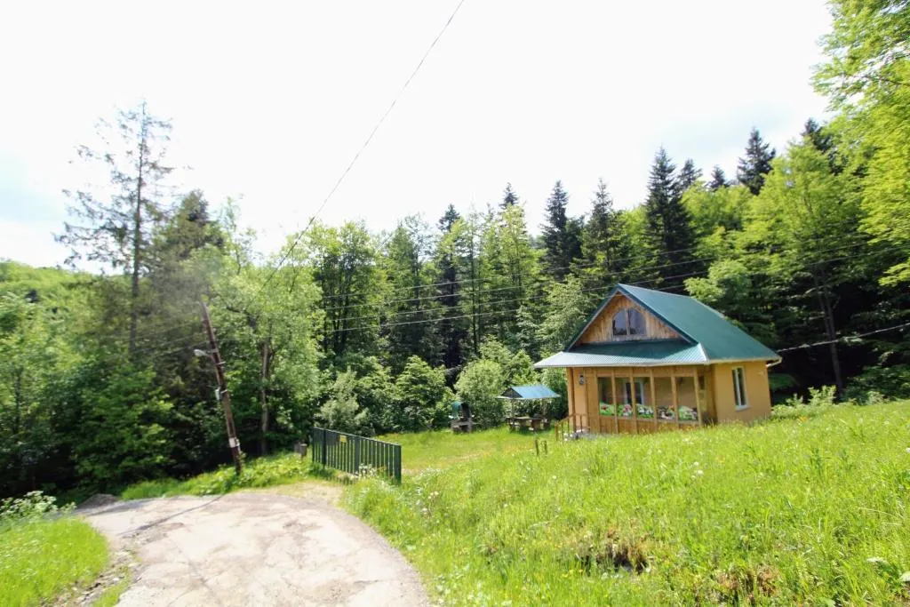 Image 1 of Gribochok