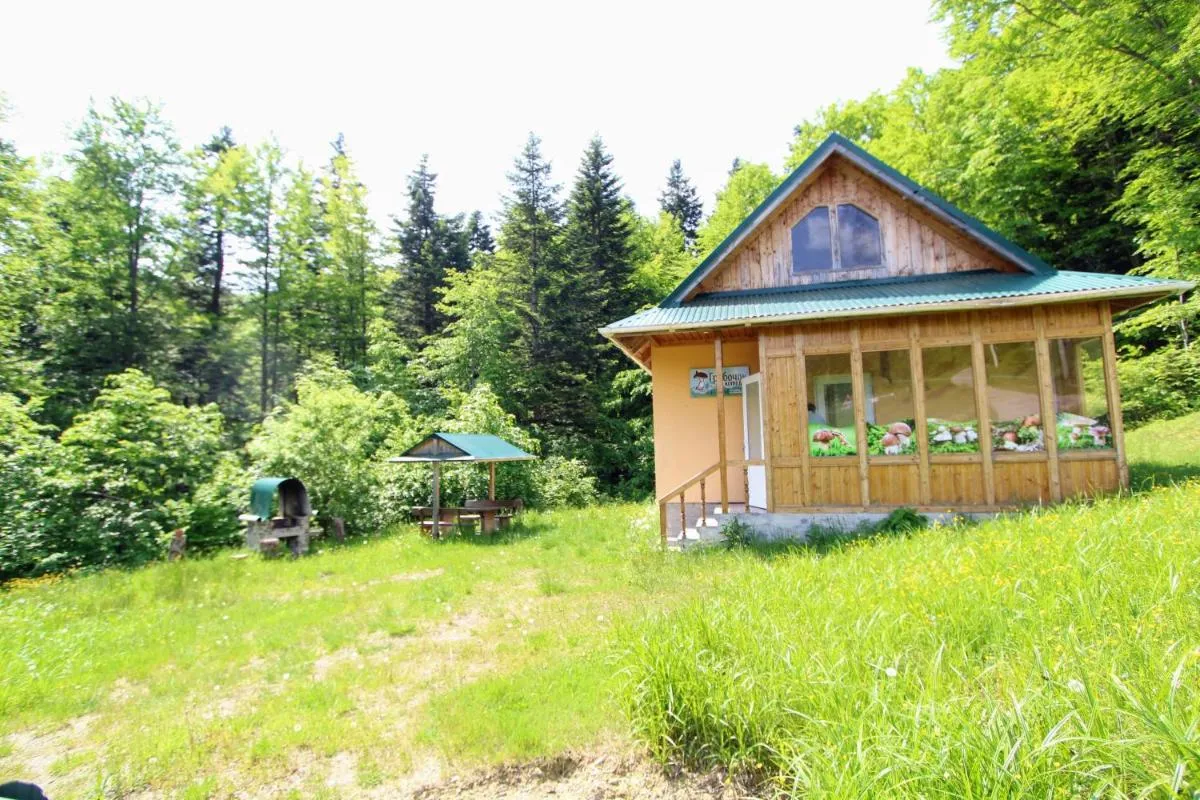 Image 2 of Gribochok